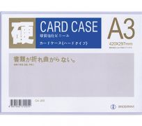 Card case A3