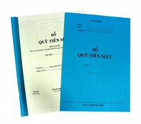 Sổ quỹ tiền mặt